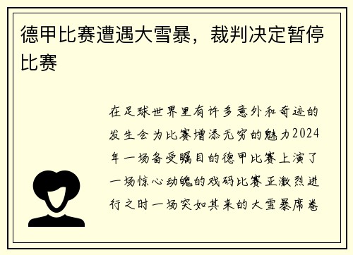 德甲比赛遭遇大雪暴，裁判决定暂停比赛