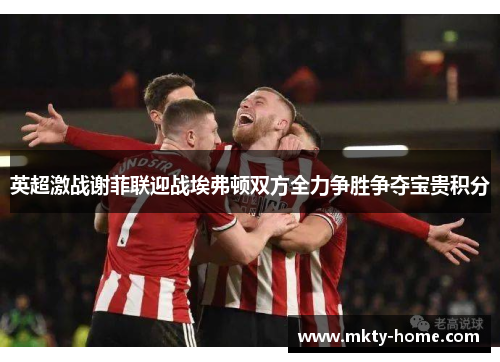 英超激战谢菲联迎战埃弗顿双方全力争胜争夺宝贵积分